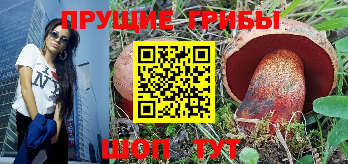 Галлюциногенные грибы Magic Shrooms Тара